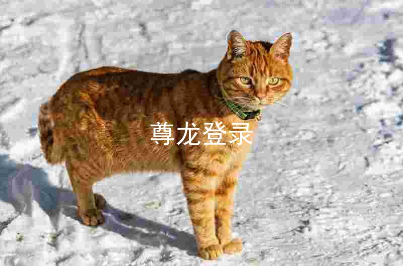 尊龙登录