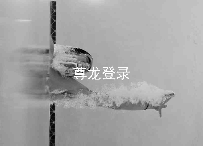尊龙登录