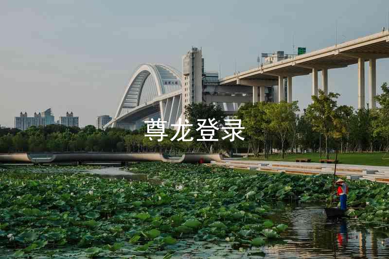 尊龙登录