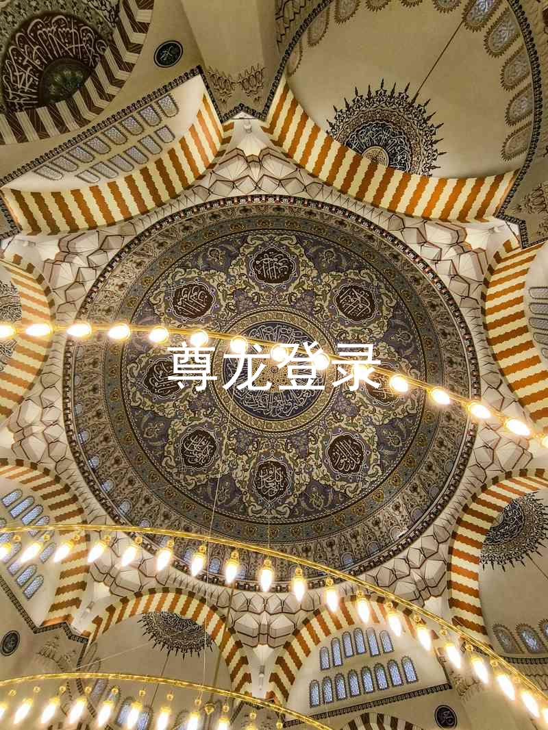 尊龙登录