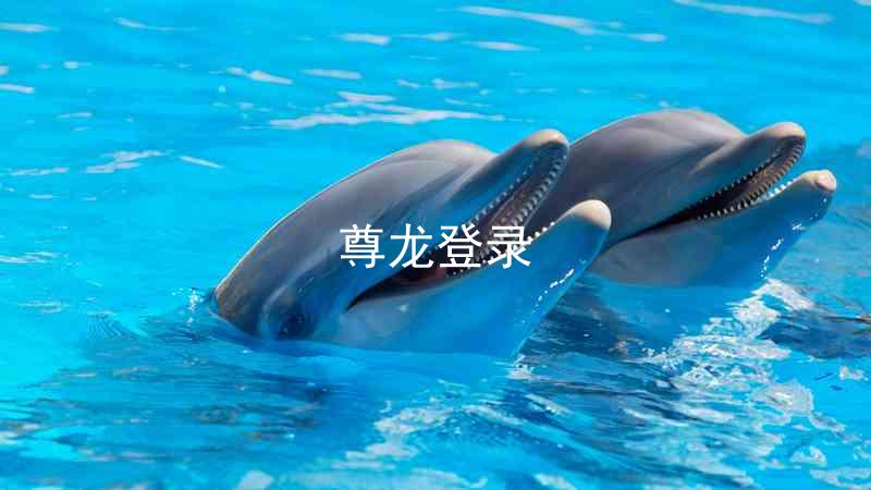 尊龙登录